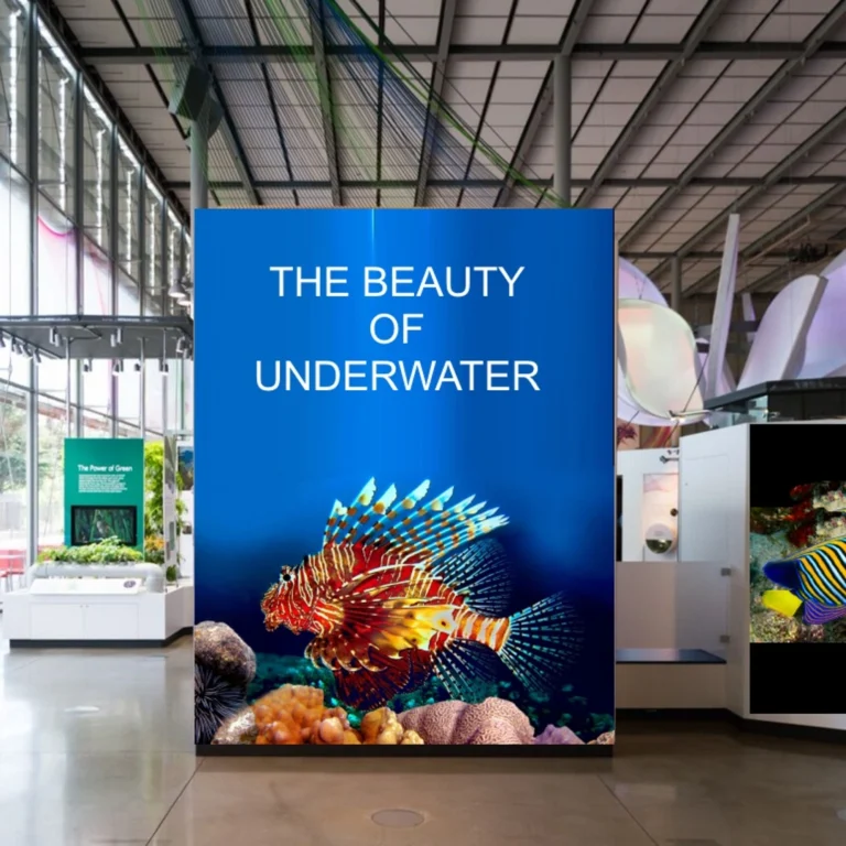 Exhibit-SEG-Graphics_1080x1080